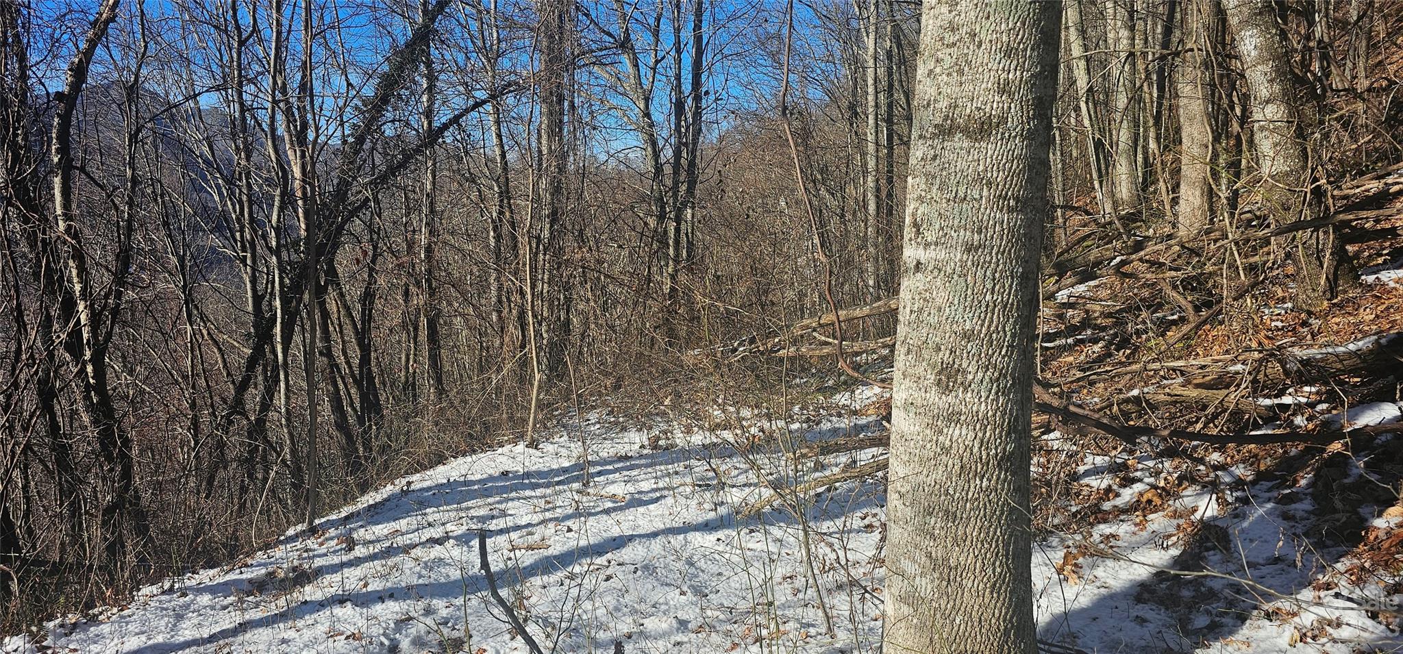 Maggie Valley Country Club Est - Land