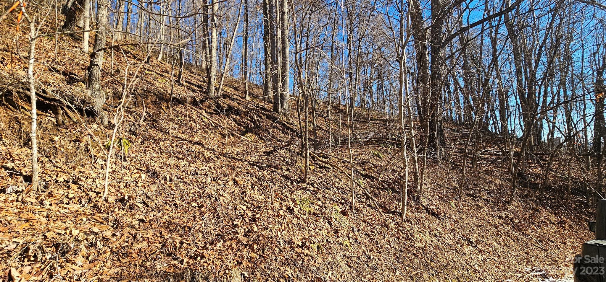 Maggie Valley Country Club Est - Land