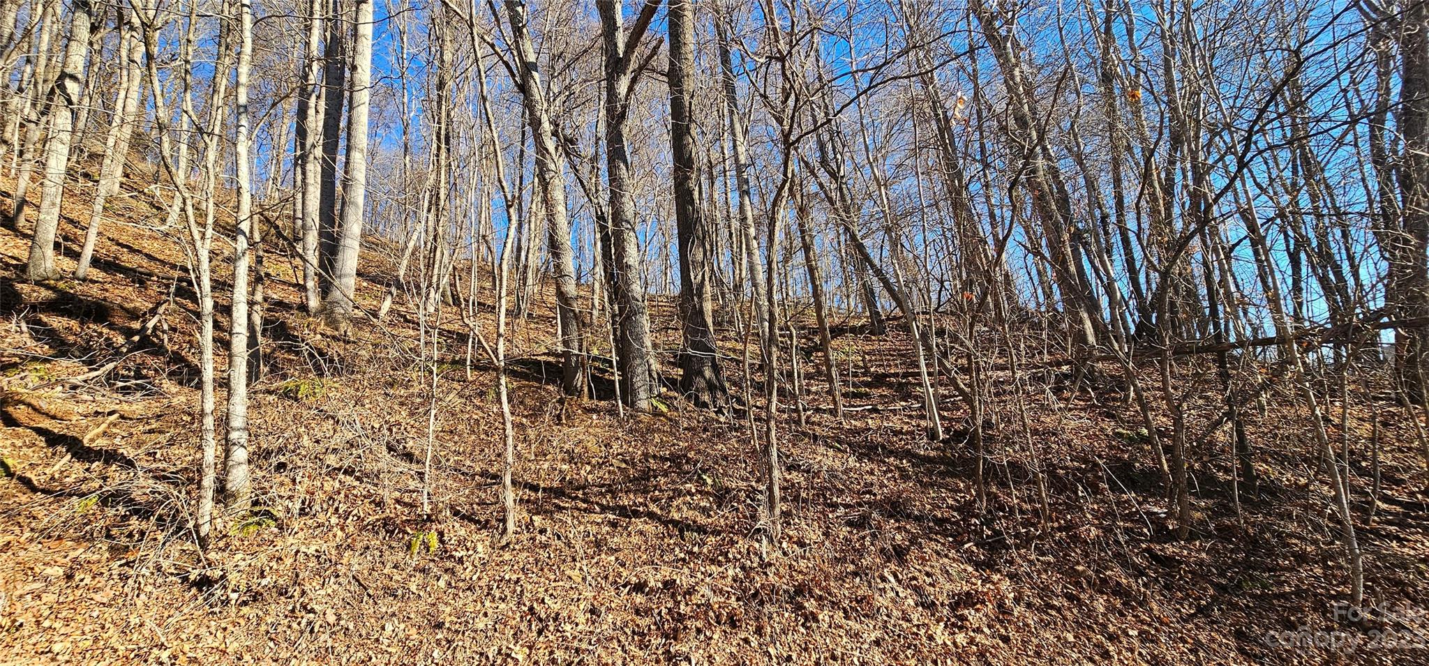 Maggie Valley Country Club Est - Land