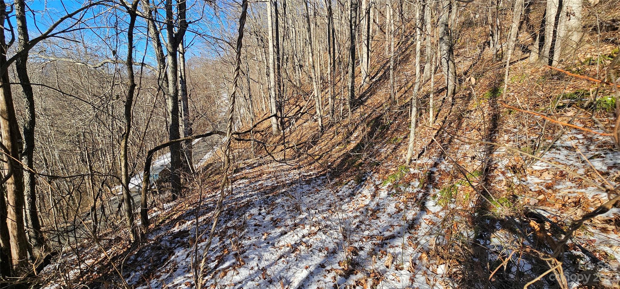 Maggie Valley Country Club Est - Land