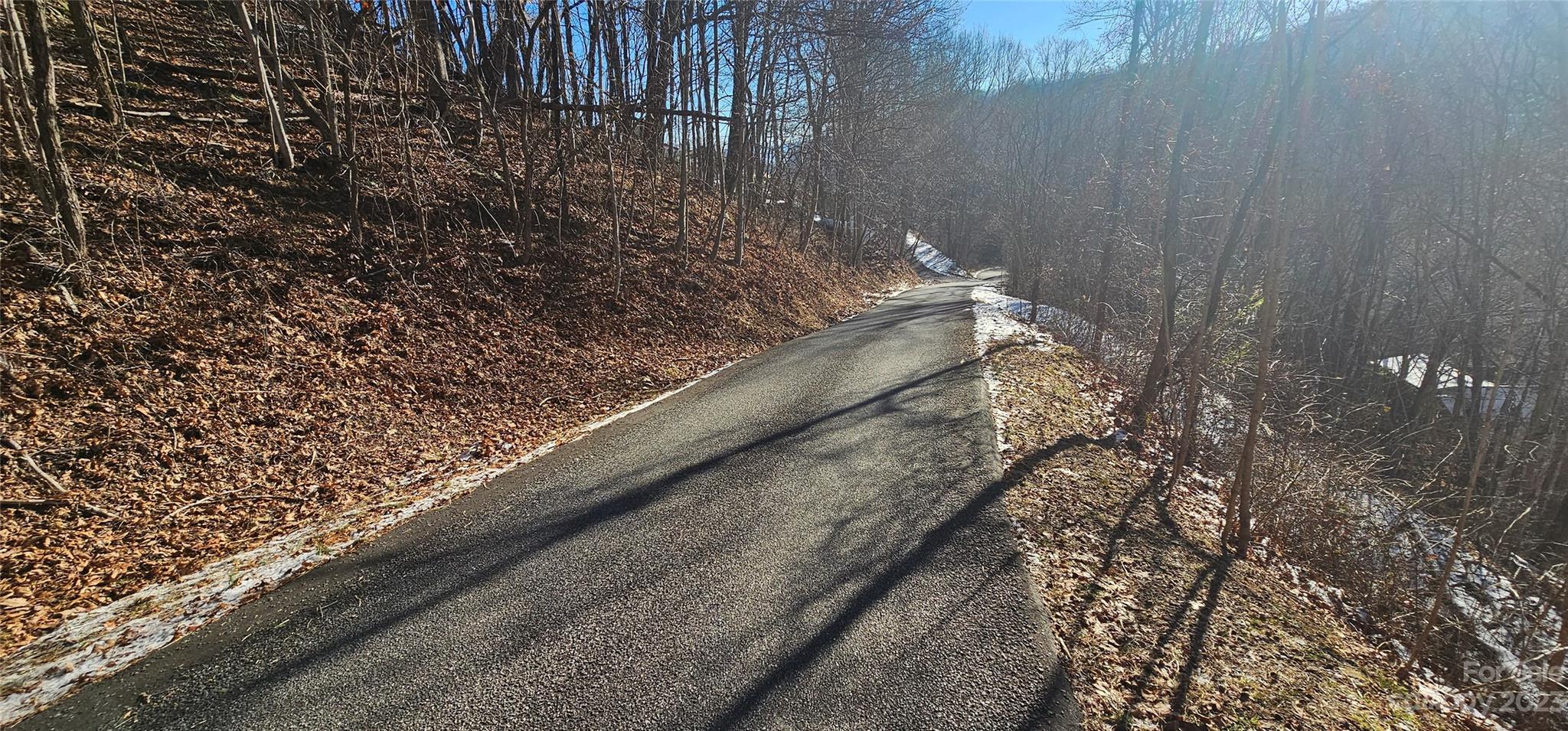 Maggie Valley Country Club Est - Land