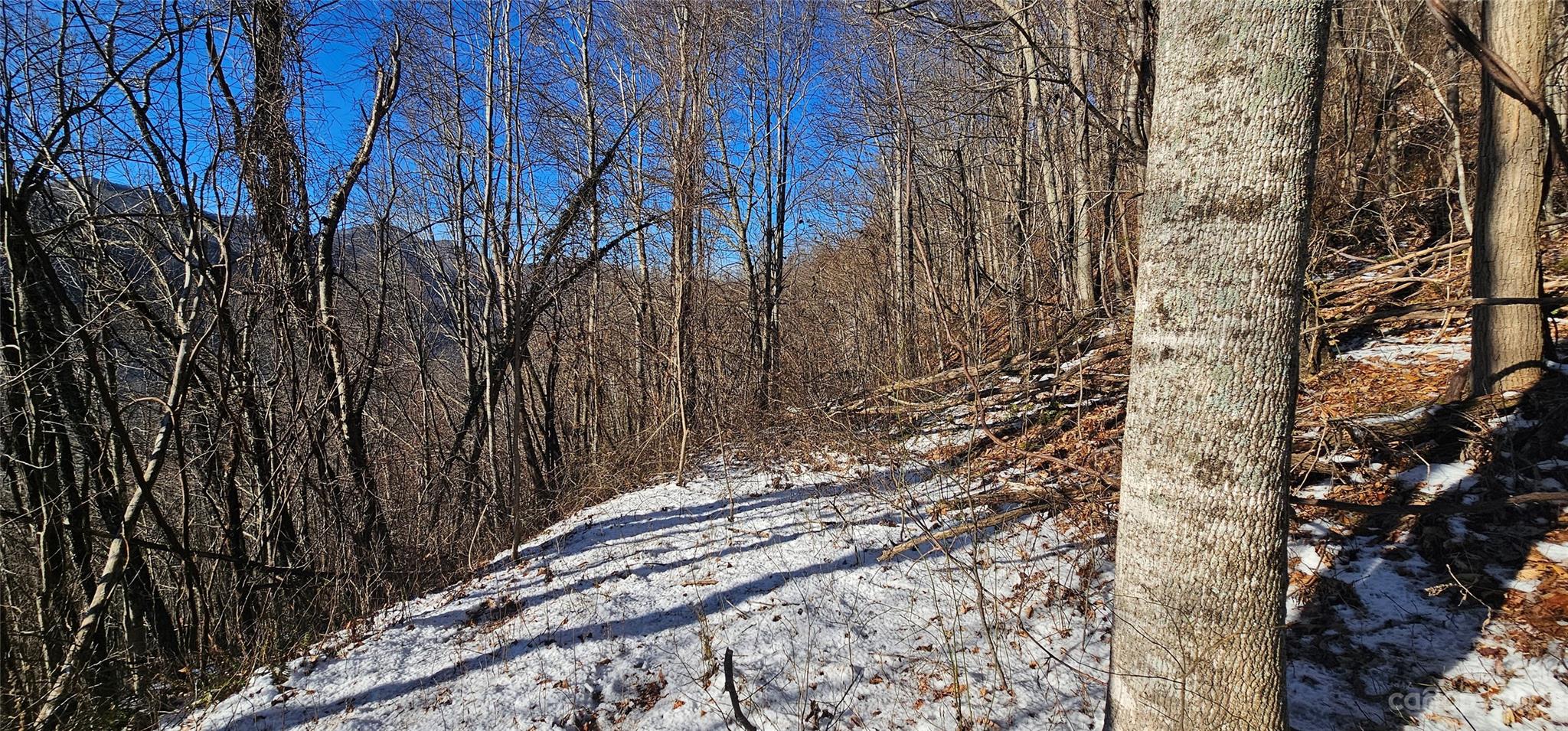 Maggie Valley Country Club Est - Land