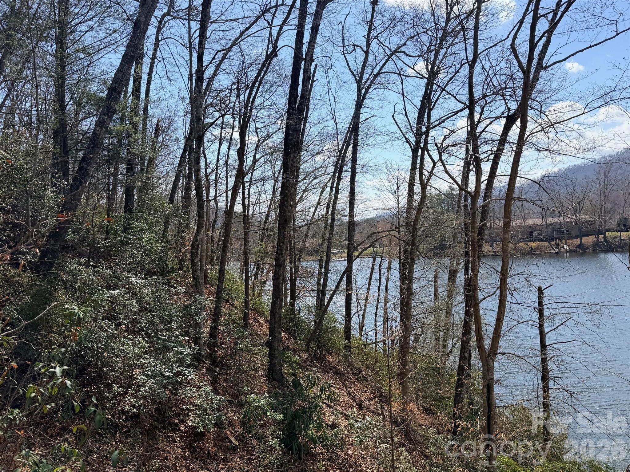 Rumbling Bald on Lake Lure - Land