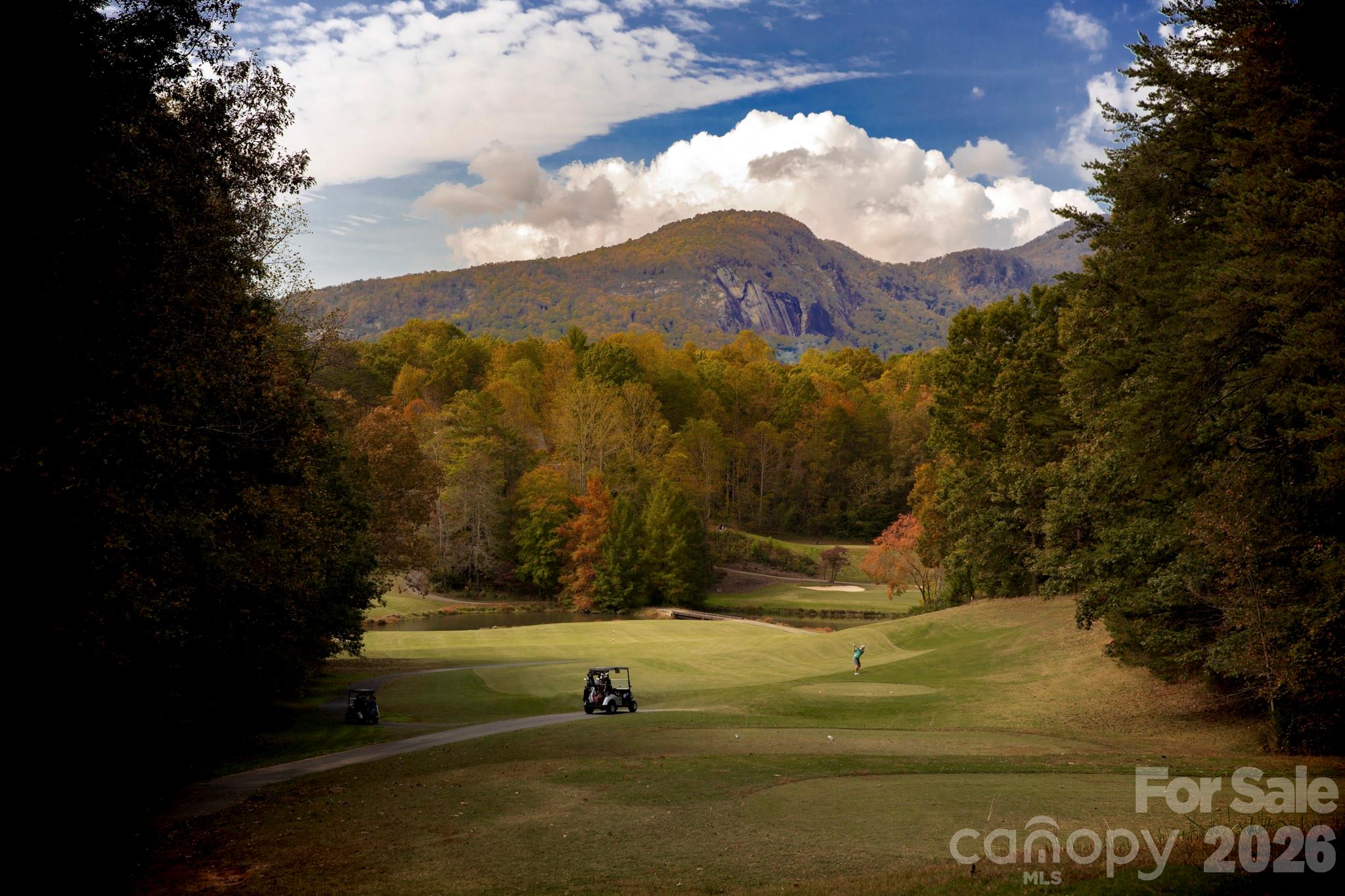 Rumbling Bald on Lake Lure - Land