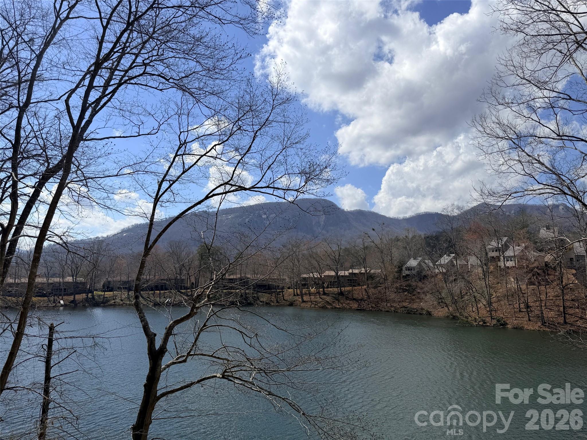 Rumbling Bald on Lake Lure - Land