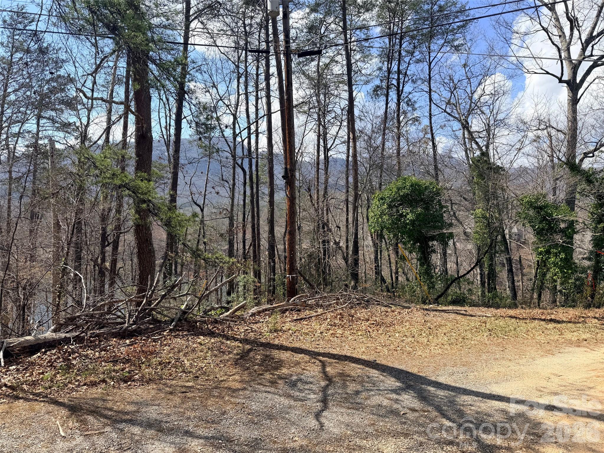 Rumbling Bald on Lake Lure - Land