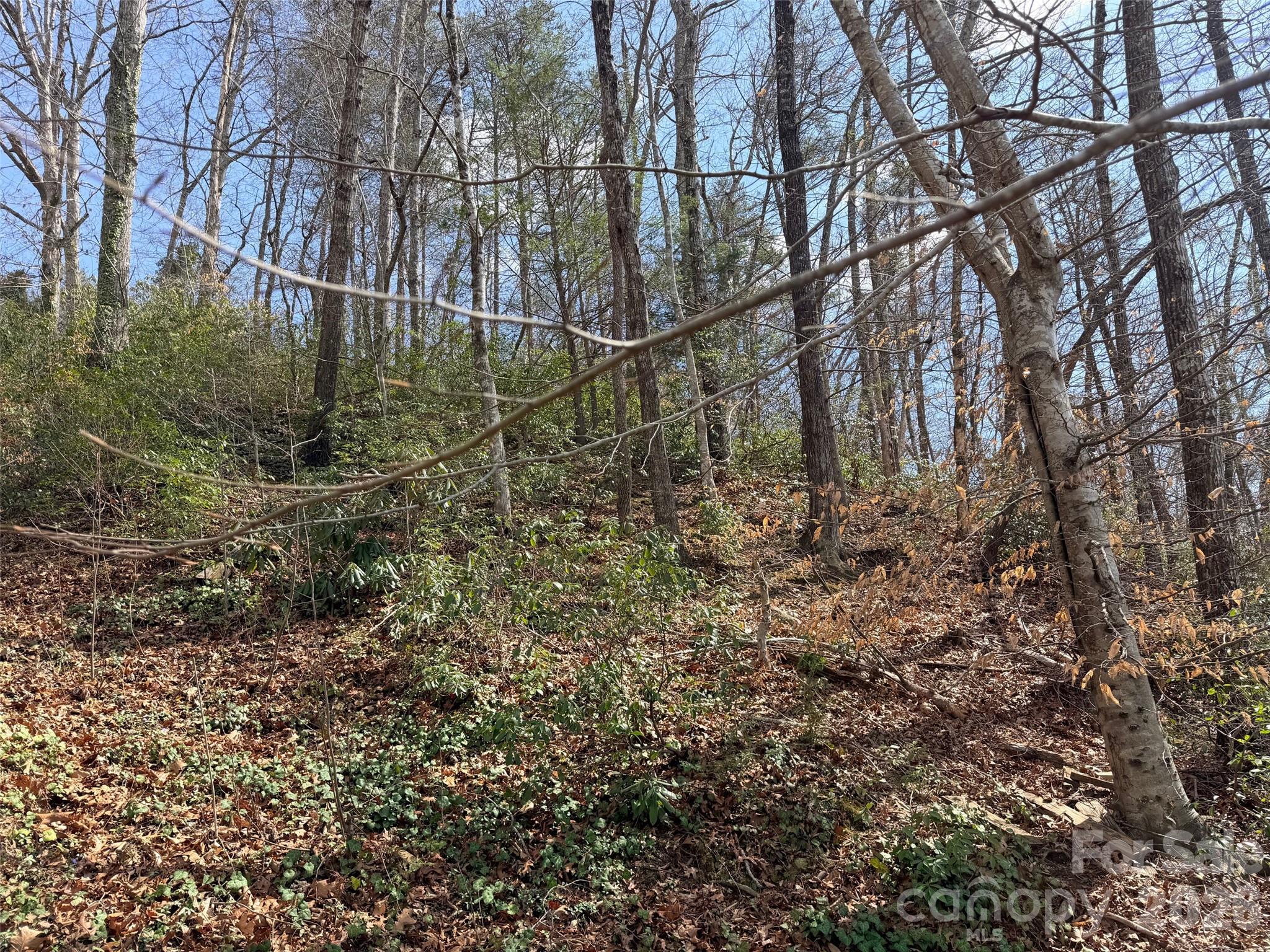 Rumbling Bald on Lake Lure - Land