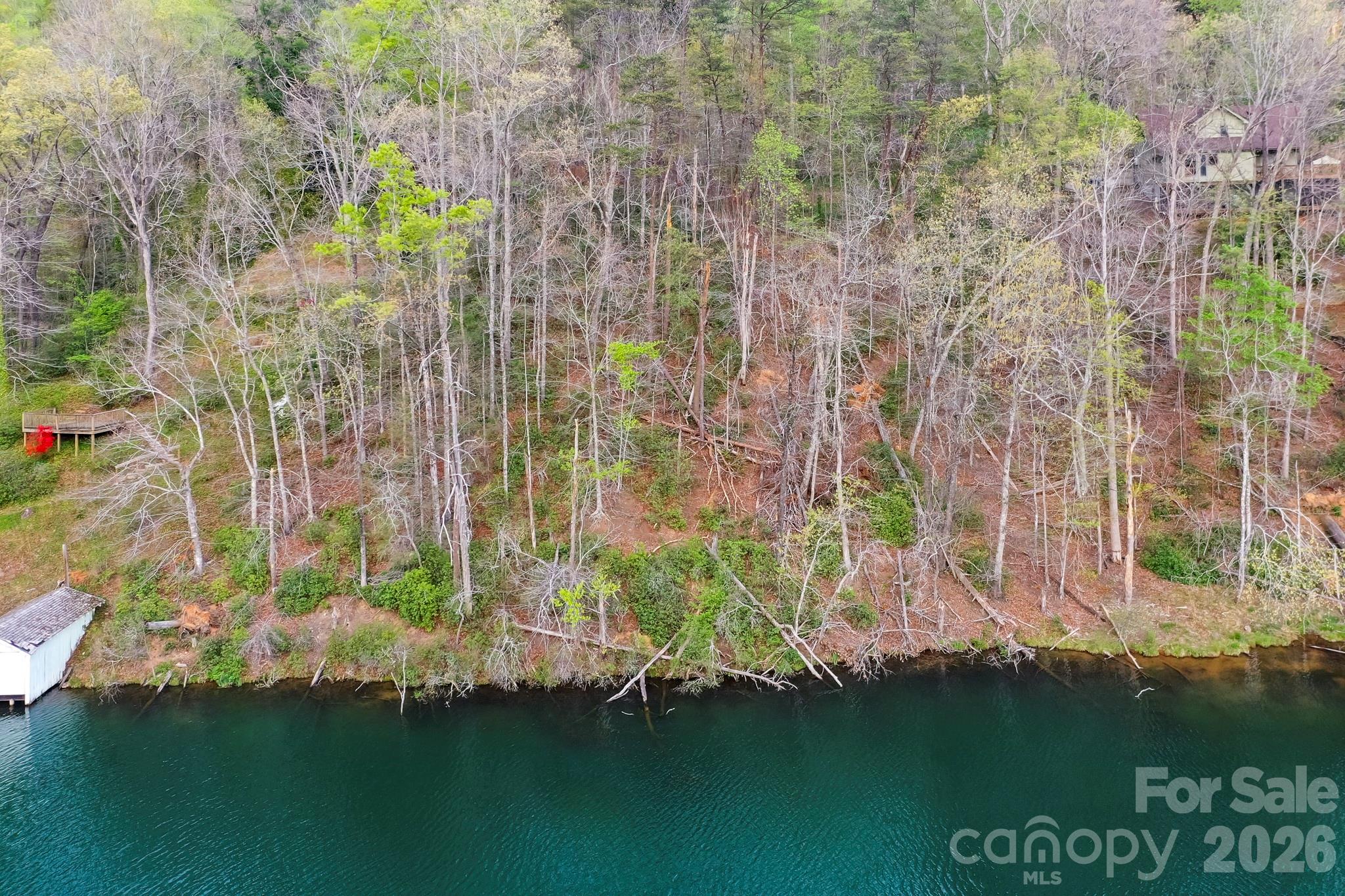 Rumbling Bald on Lake Lure - Land