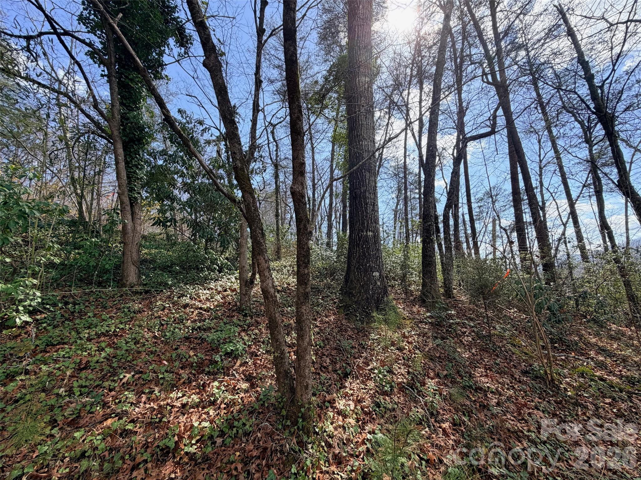 Rumbling Bald on Lake Lure - Land