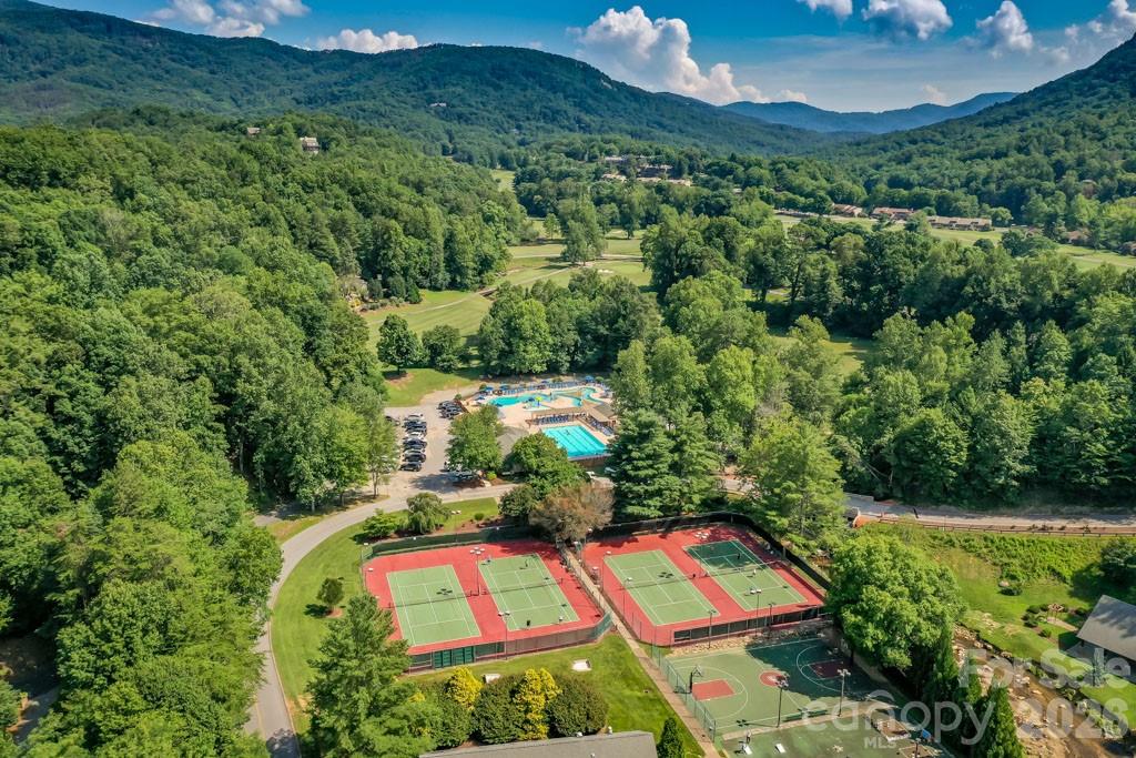 Rumbling Bald on Lake Lure - Land