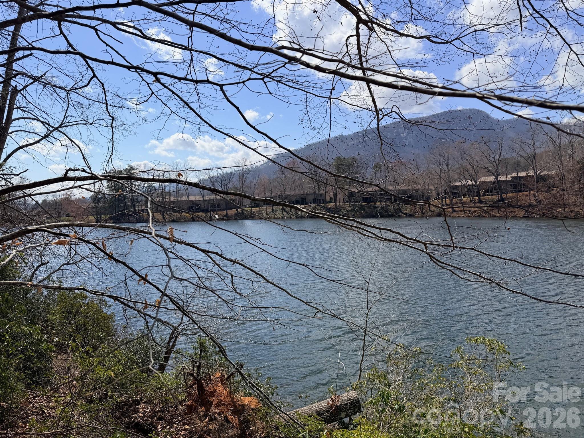 Rumbling Bald on Lake Lure - Land
