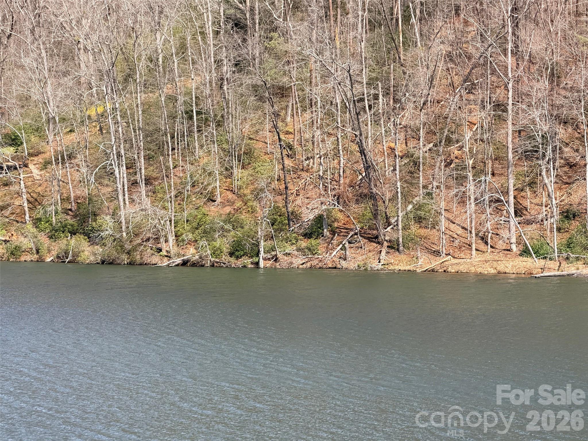 Rumbling Bald on Lake Lure - Land