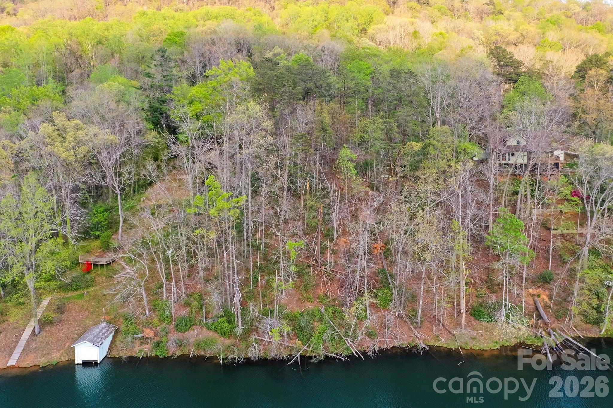 Rumbling Bald on Lake Lure - Land