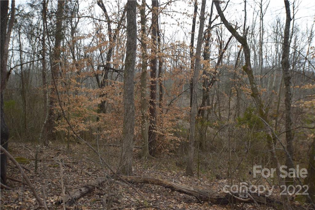 Rainbow Hills - Land