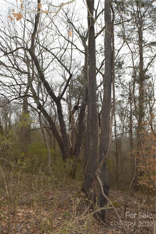 Rainbow Hills - Land