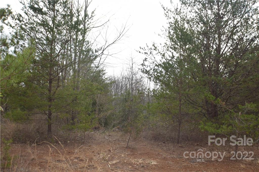 Rainbow Hills - Land