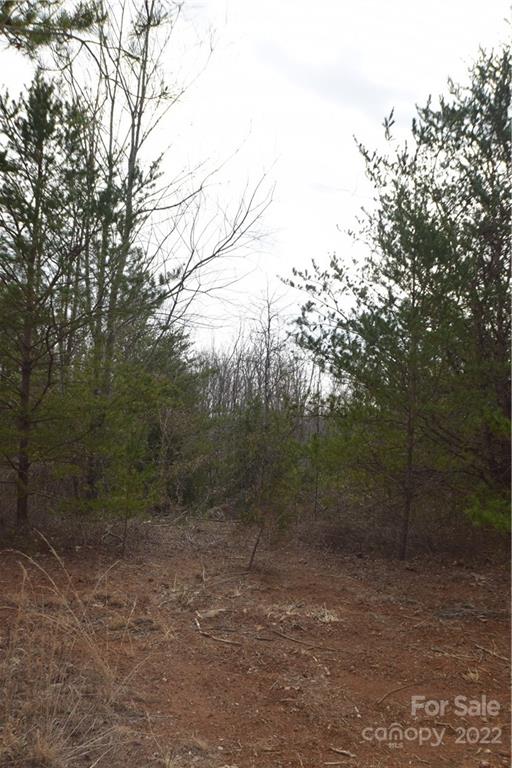 Rainbow Hills - Land