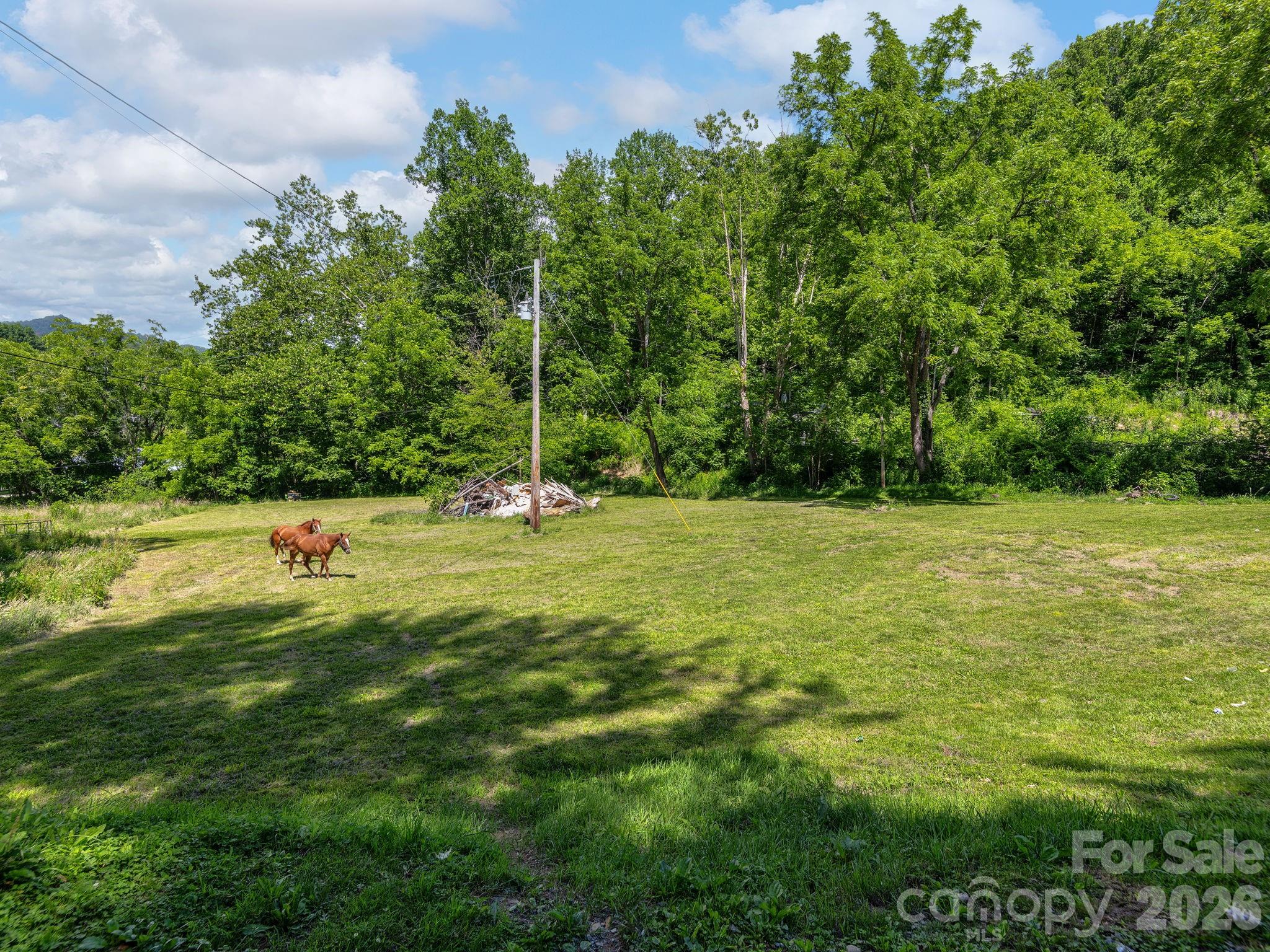 181 Harley Davidson Drive