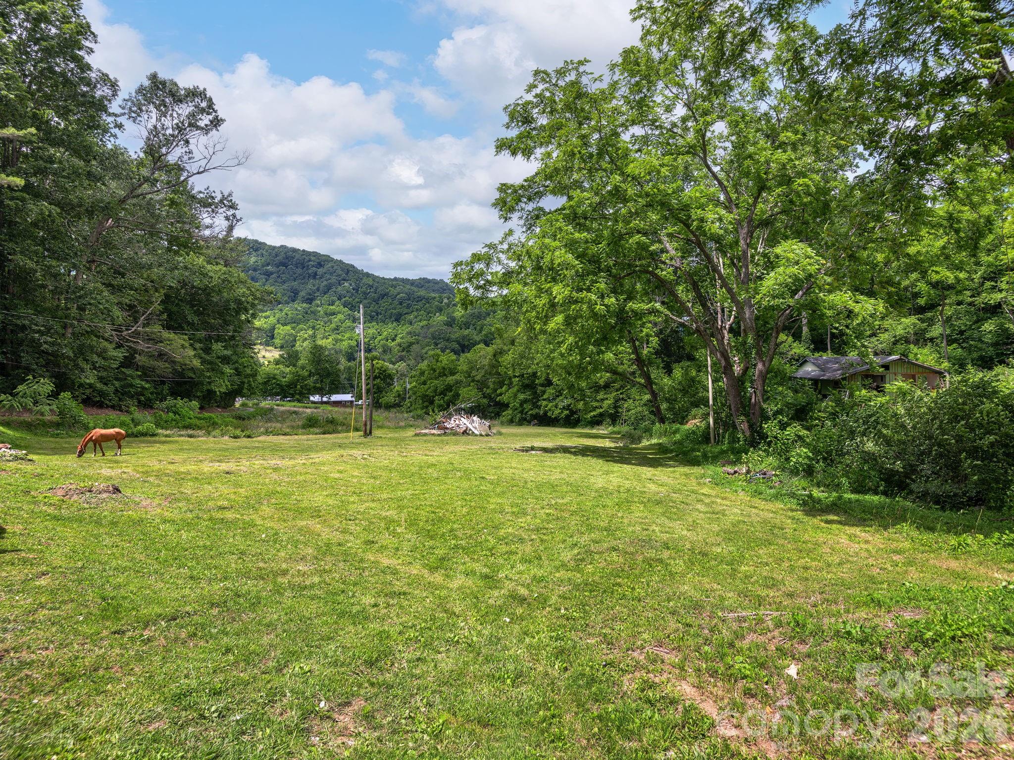 181 Harley Davidson Drive