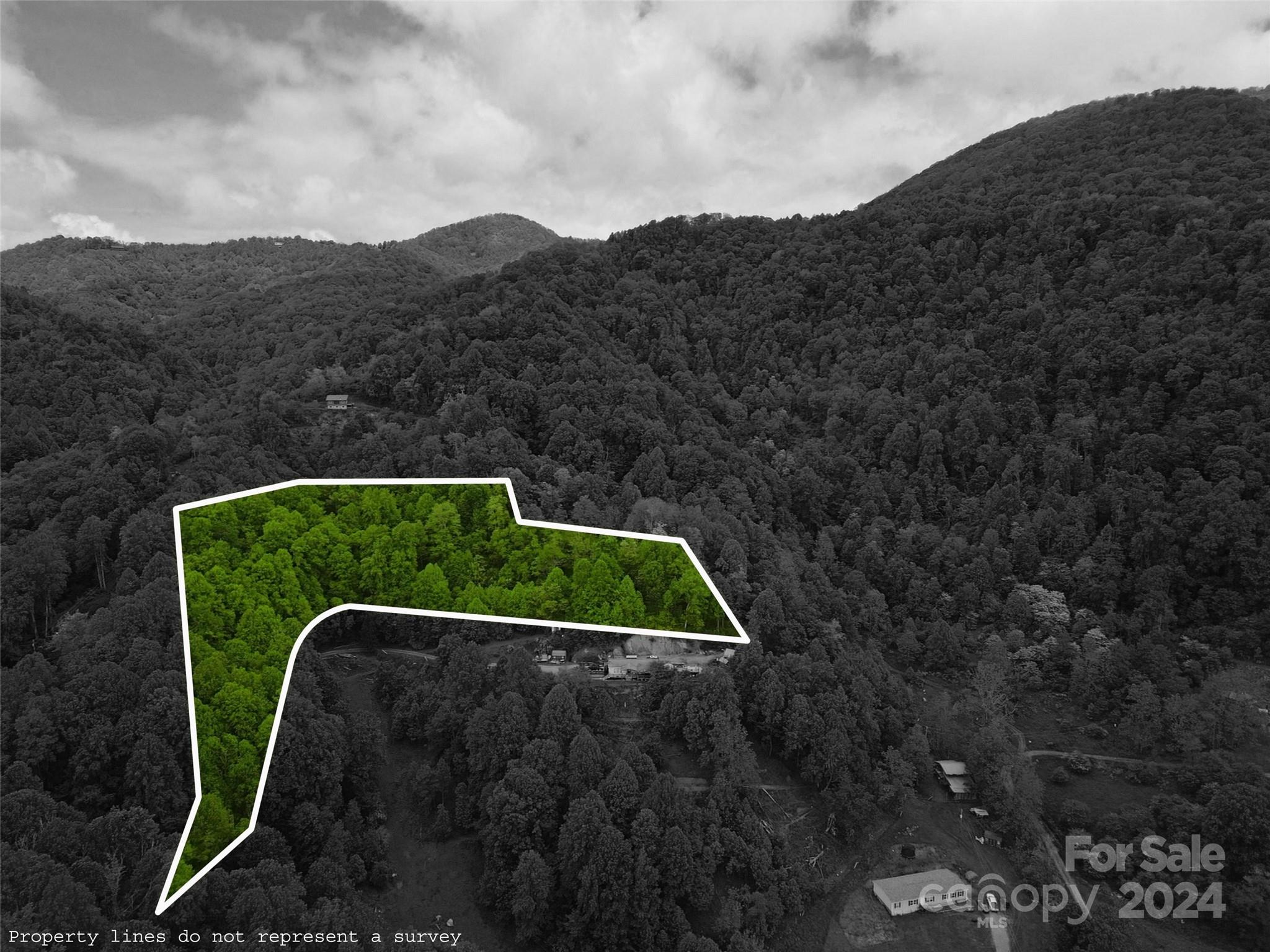 00 Max Patch Road