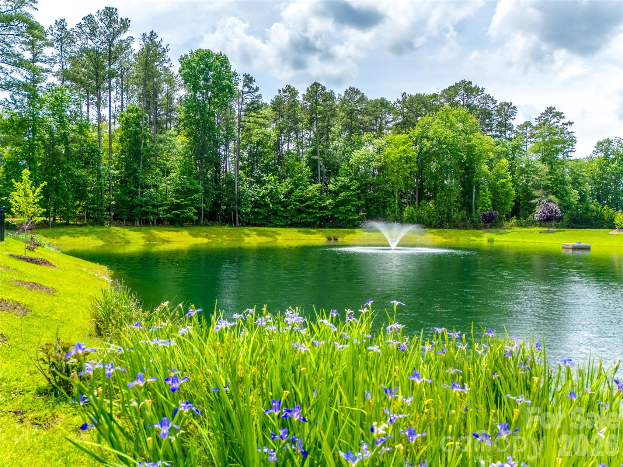 Mckinley Forest - Residential