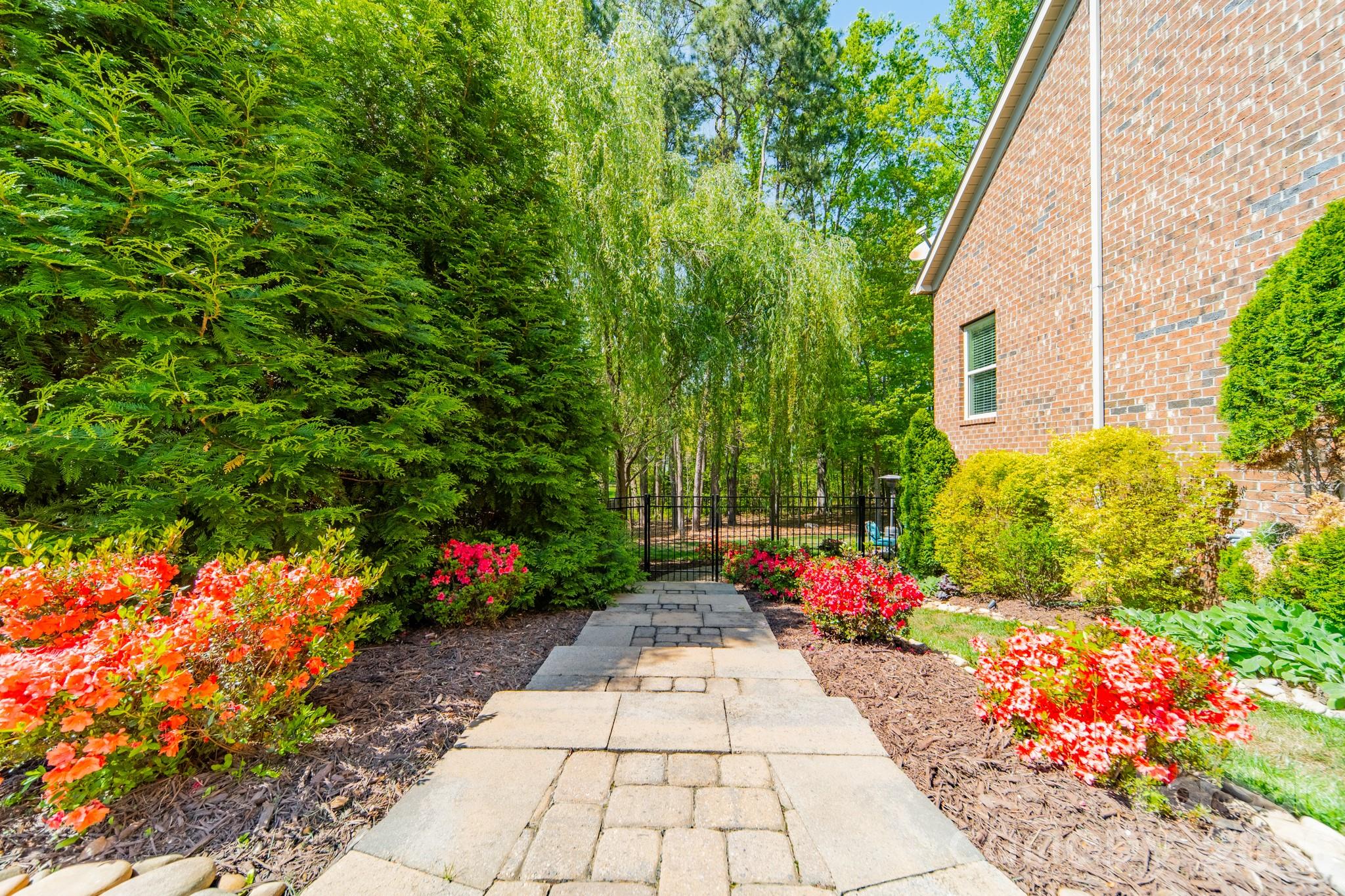 Mckinley Forest - Residential