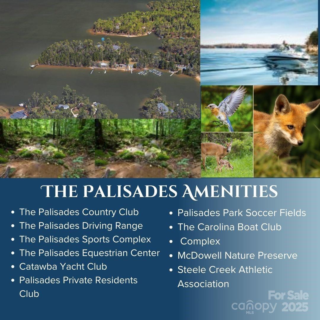 The Palisades - Residential