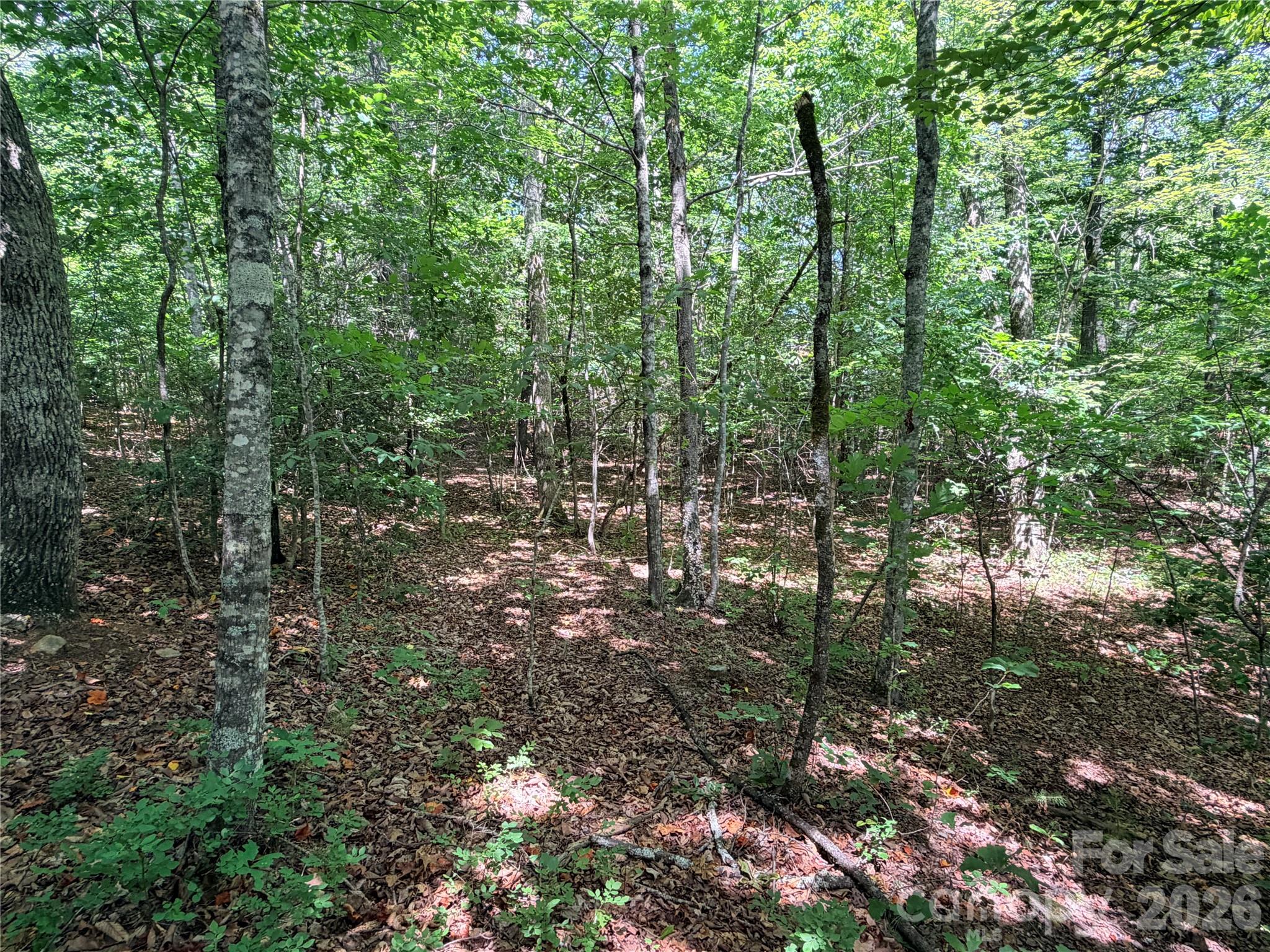00 Grassy Knob Road 5