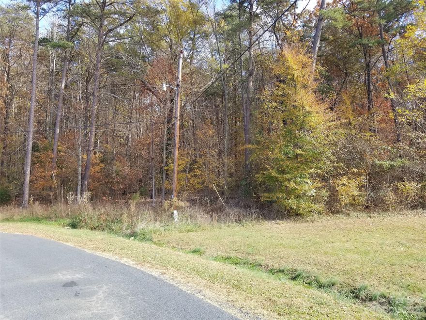 *Property does not perc. Bring all Offers. This High Rock Lake area property is located in the Summer Place community. Year round water views. Level lot with plenty of space. Just minutes from Salisbury. Tamarac Marina is 2 miles away, and is waterfront on High Rock Lake. Also 2 miles away is the paved, public Dutch Second Wildlife boat landing. The nearby Dan Nicholas Park is a great family-friendly spot with lots of attractions and activities. Between Charlotte and the Triad. Call Listing Office to schedule a showing.