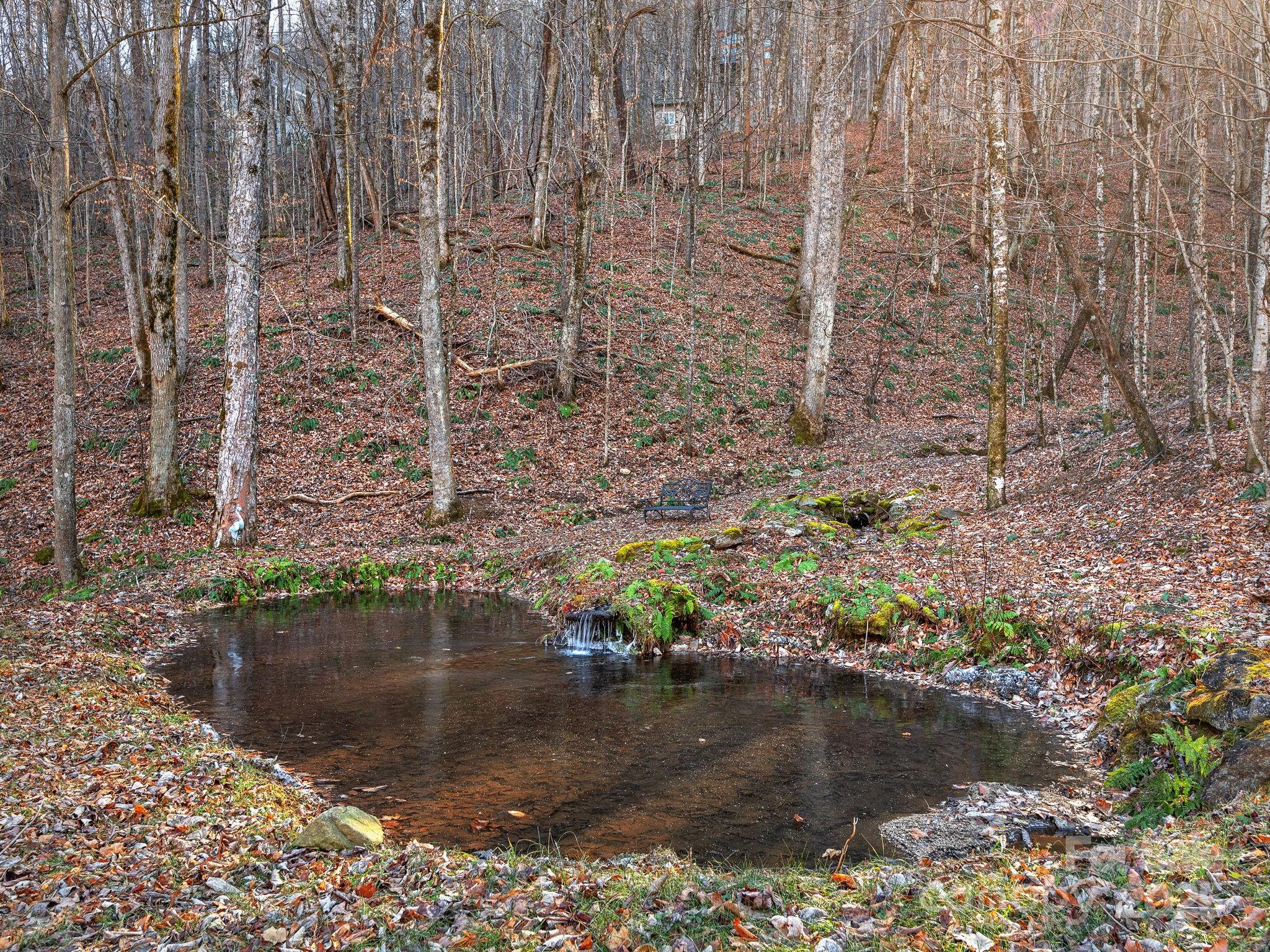 1591 Chestnut Flats Lane