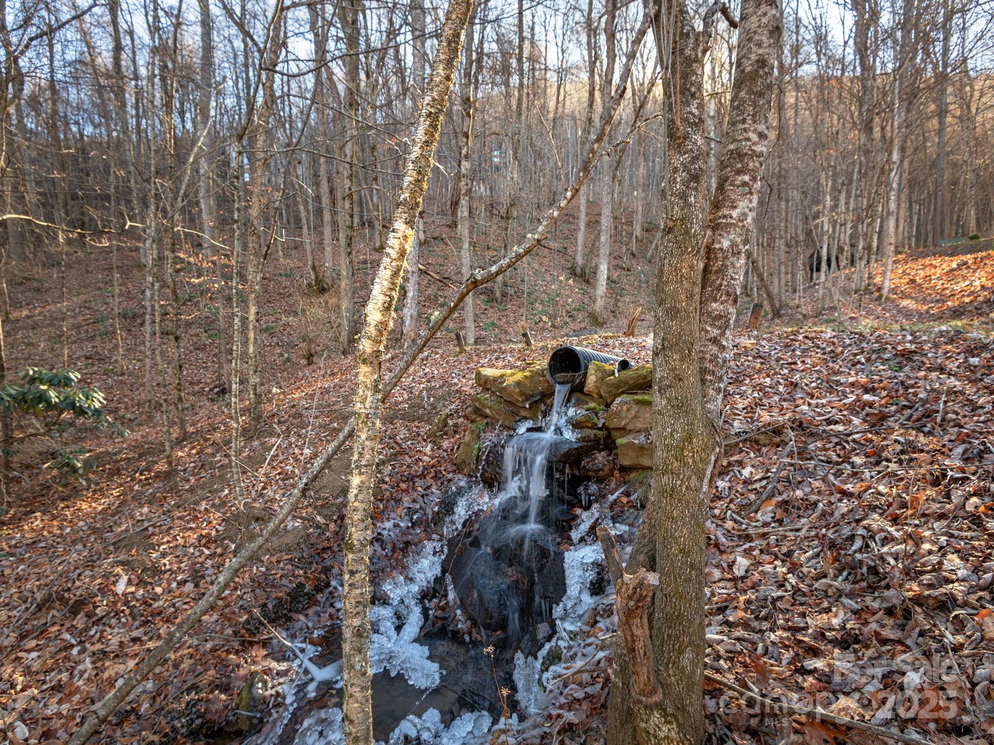 1591 Chestnut Flats Lane