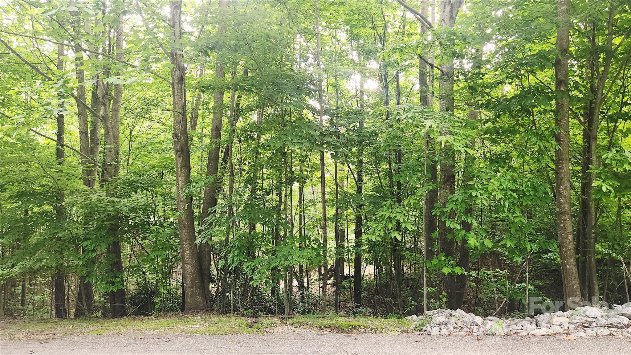 Somersby Park - Land