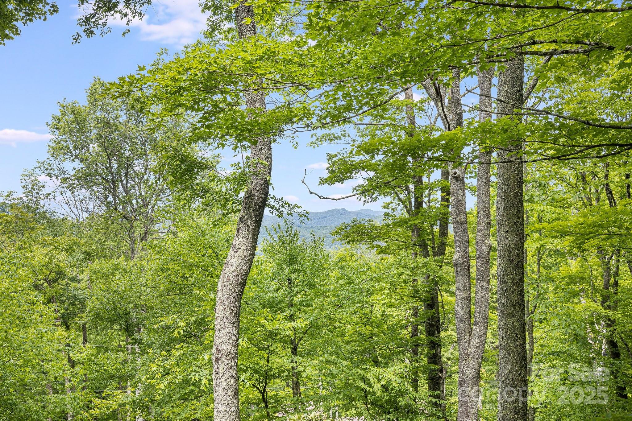 Wolf Laurel - Residential