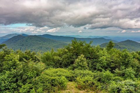9999 High Cliffs Trail Black Mountain NC 28711