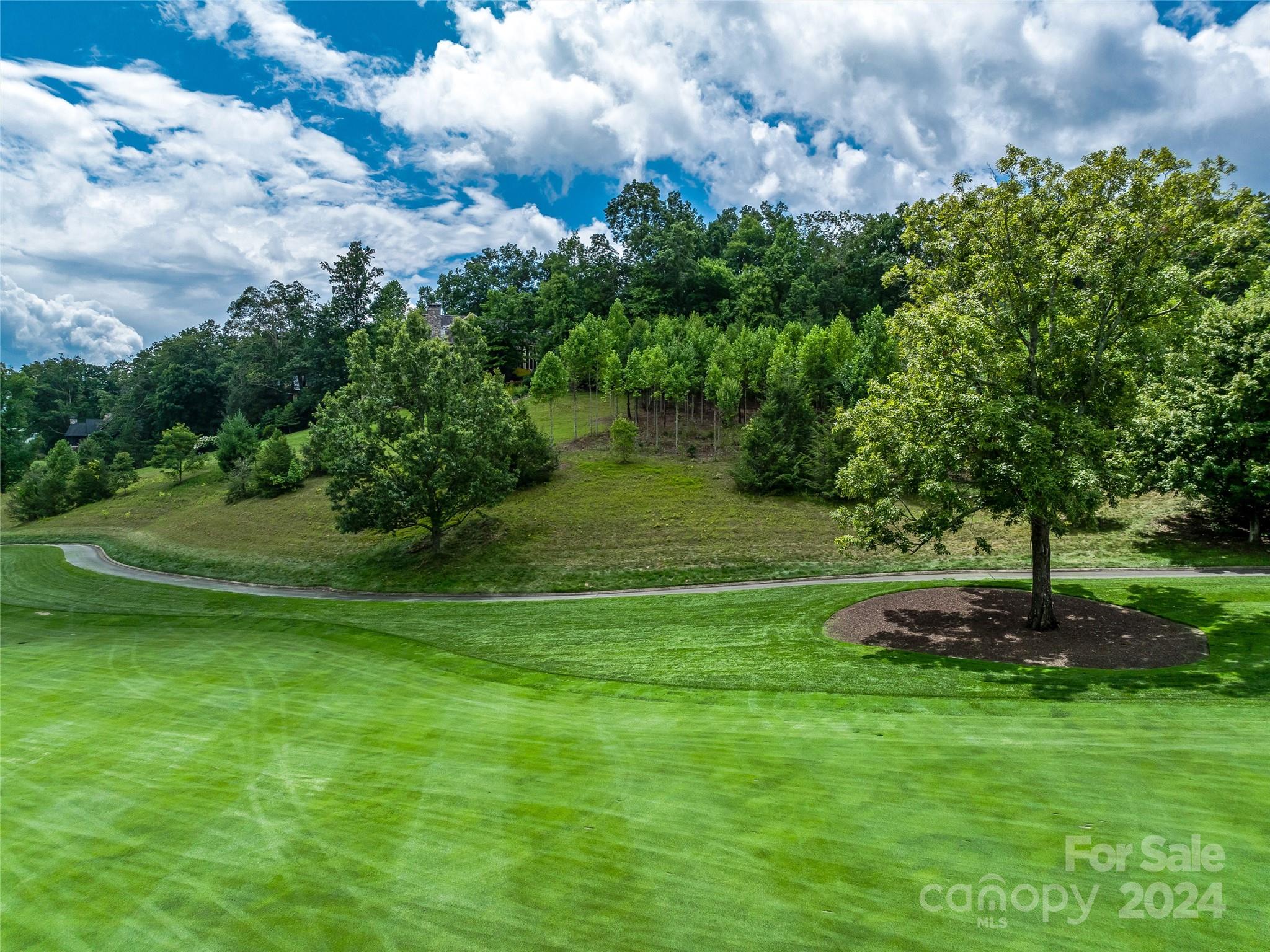 The Cliffs At Walnut Cove - Land
