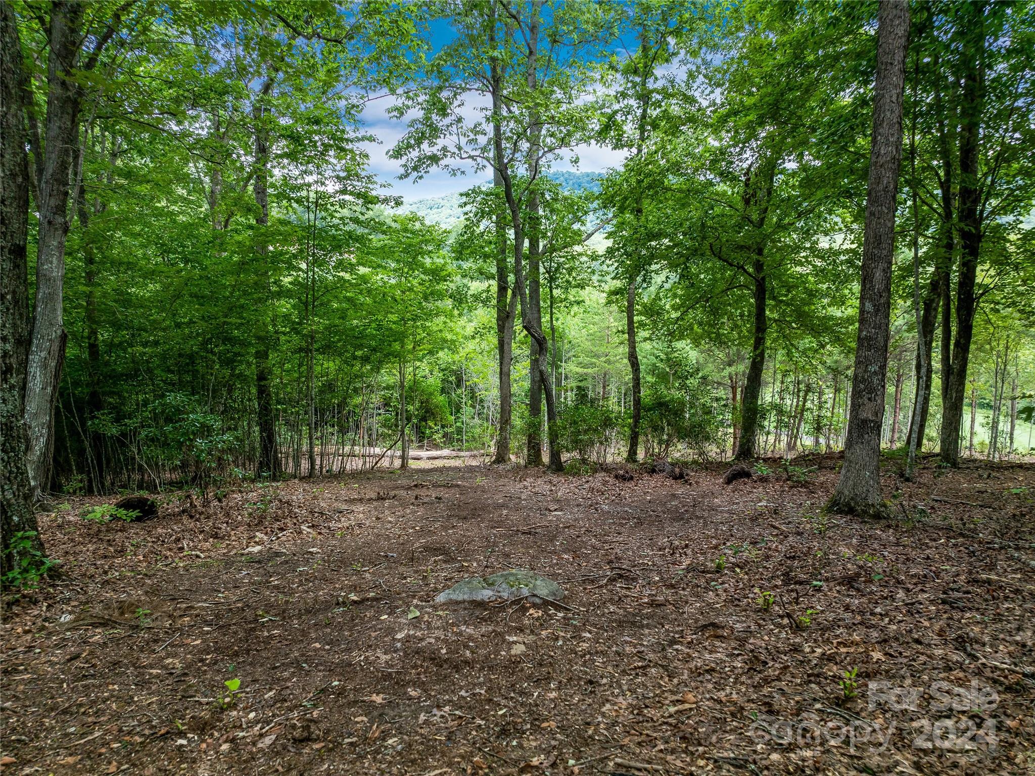 The Cliffs At Walnut Cove - Land