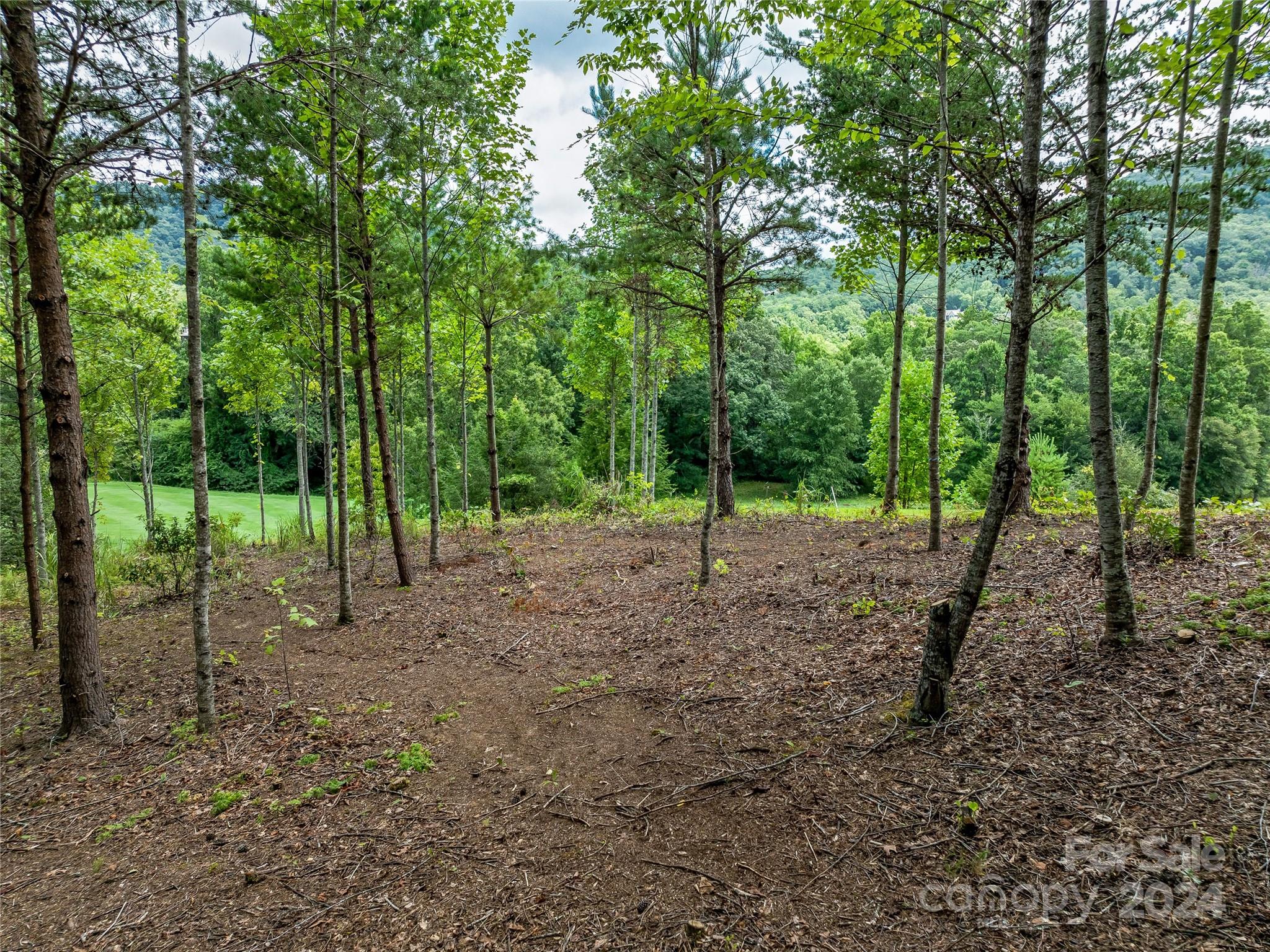 The Cliffs At Walnut Cove - Land