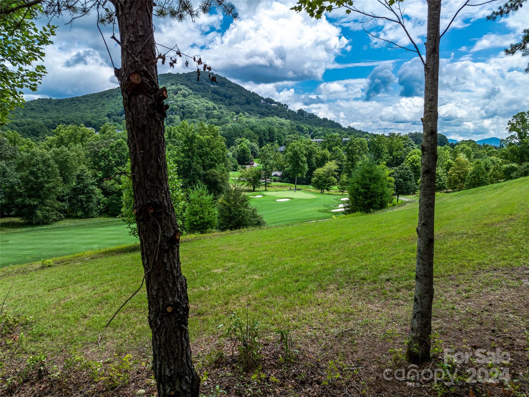 The Cliffs At Walnut Cove - Land
