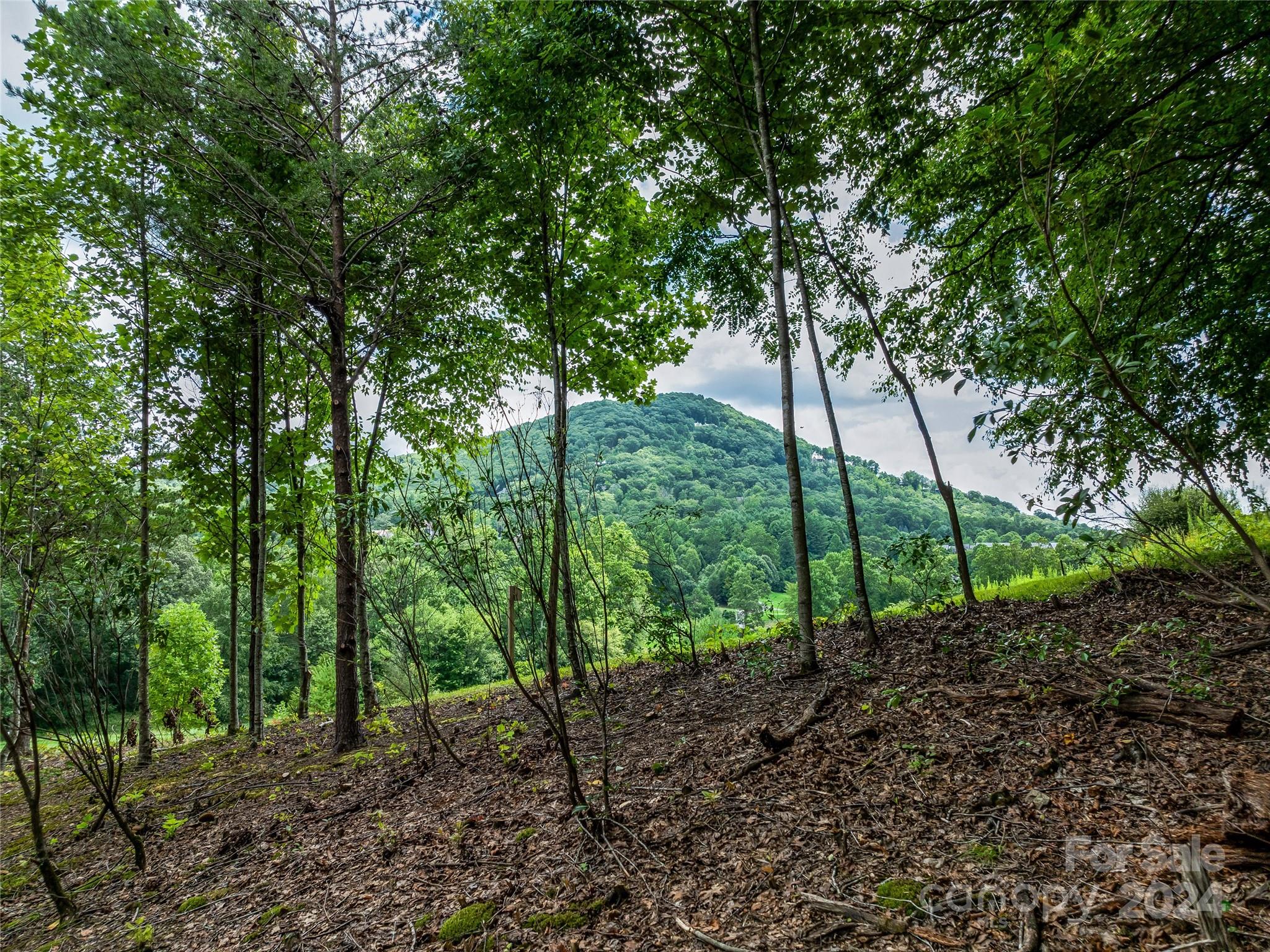 The Cliffs At Walnut Cove - Land
