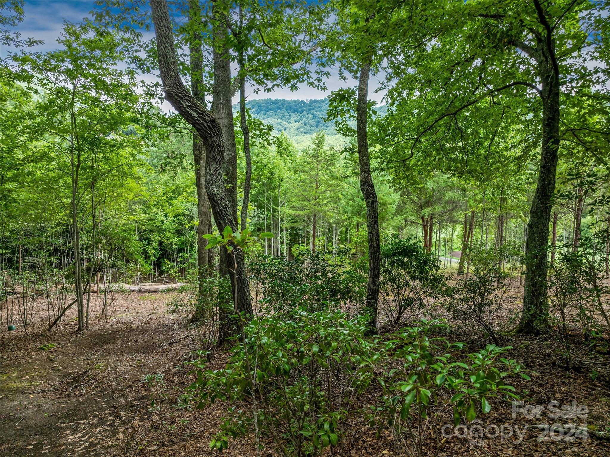 The Cliffs At Walnut Cove - Land