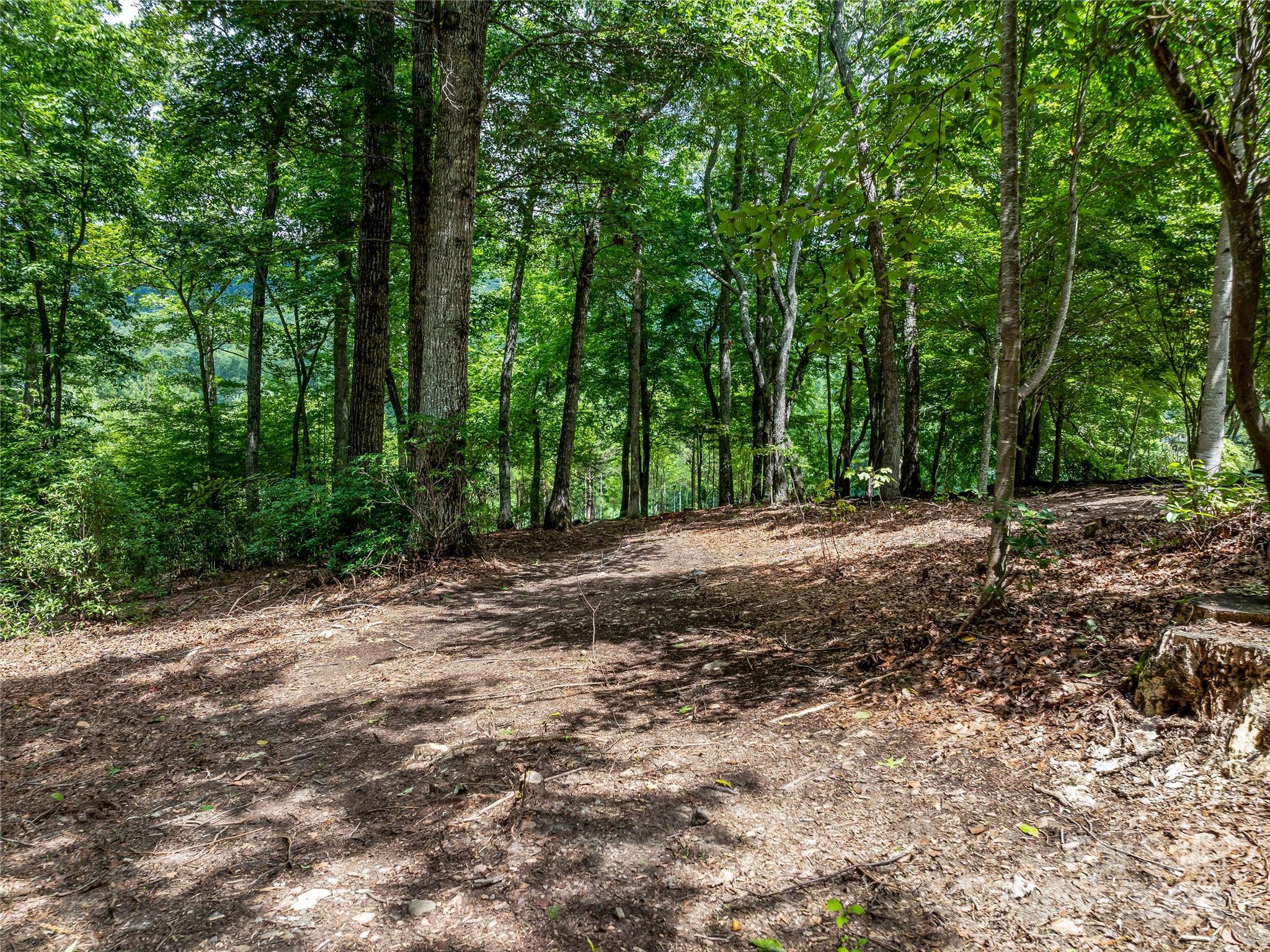 The Cliffs At Walnut Cove - Land