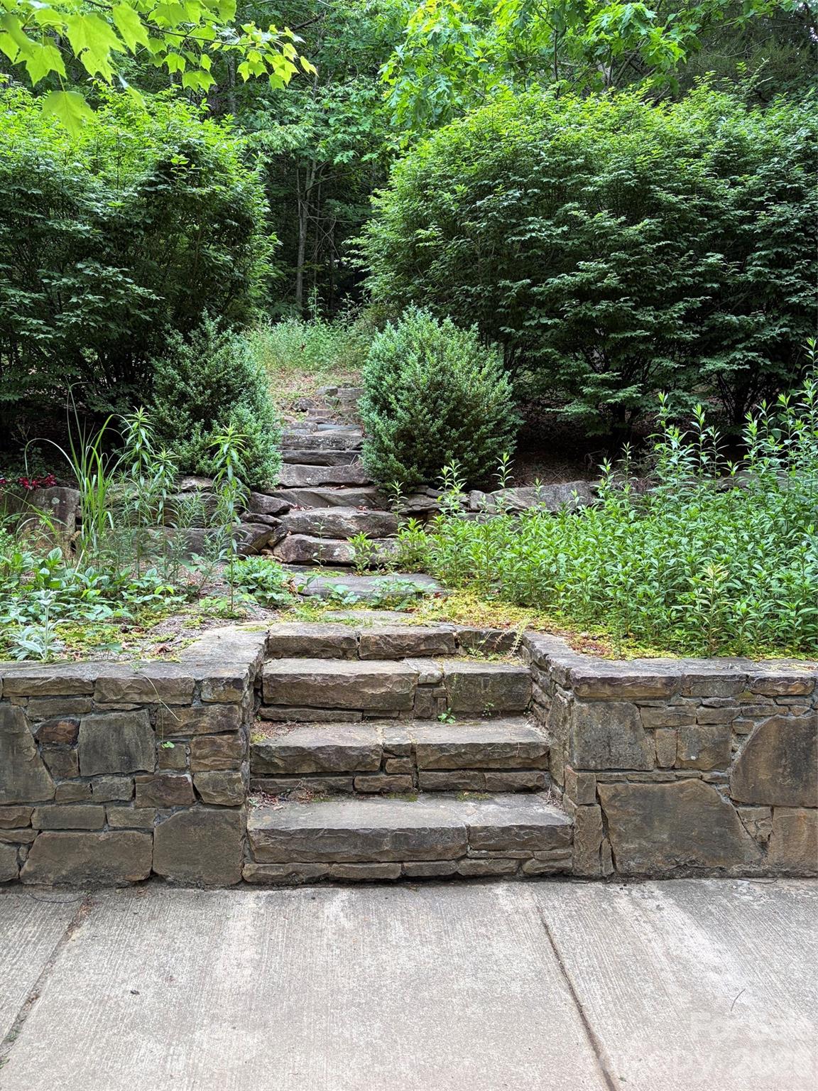 46 Cheshire Drive