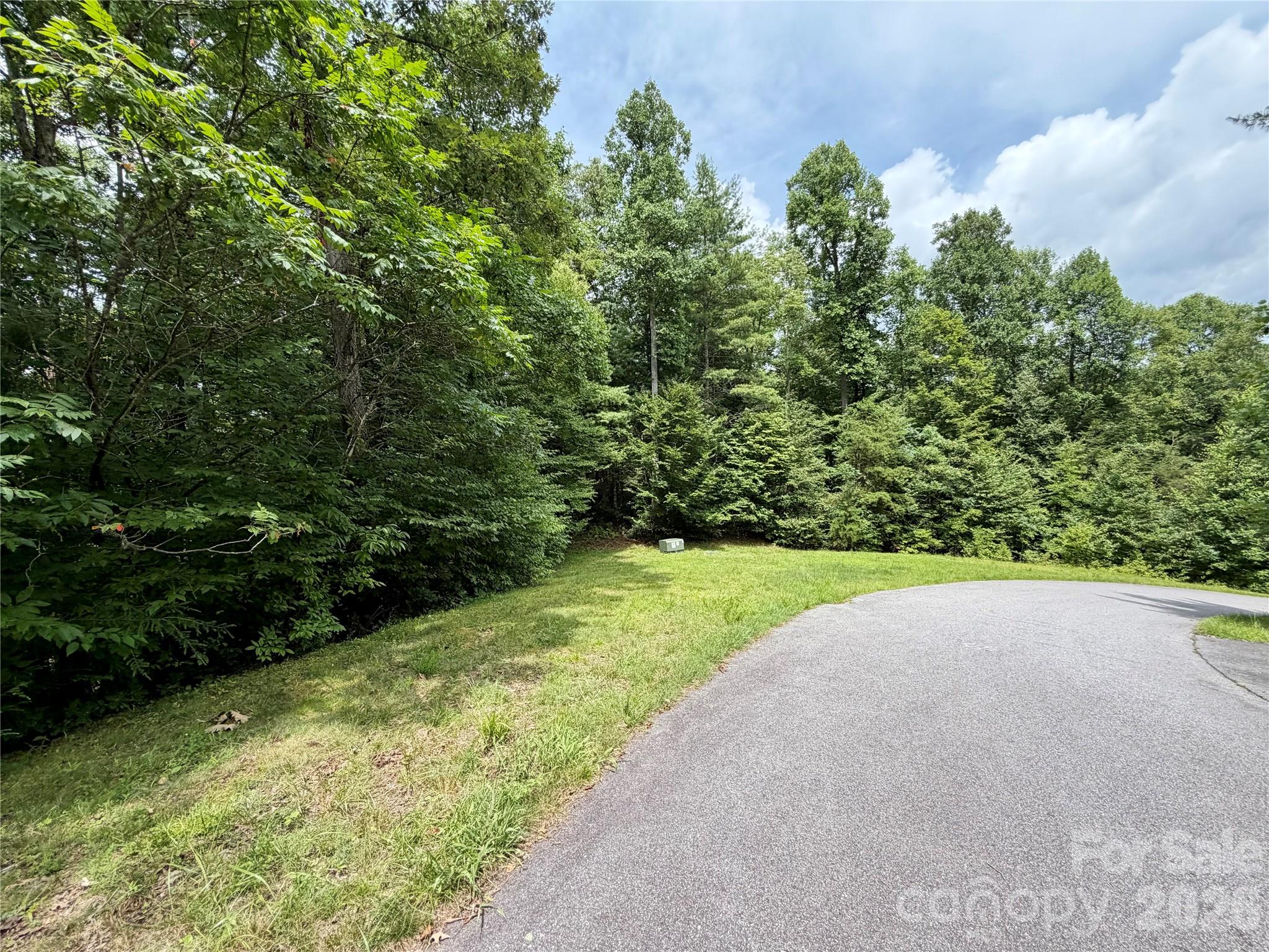 1156 Bear River Lodge Trail, Marshall, NC, 28753