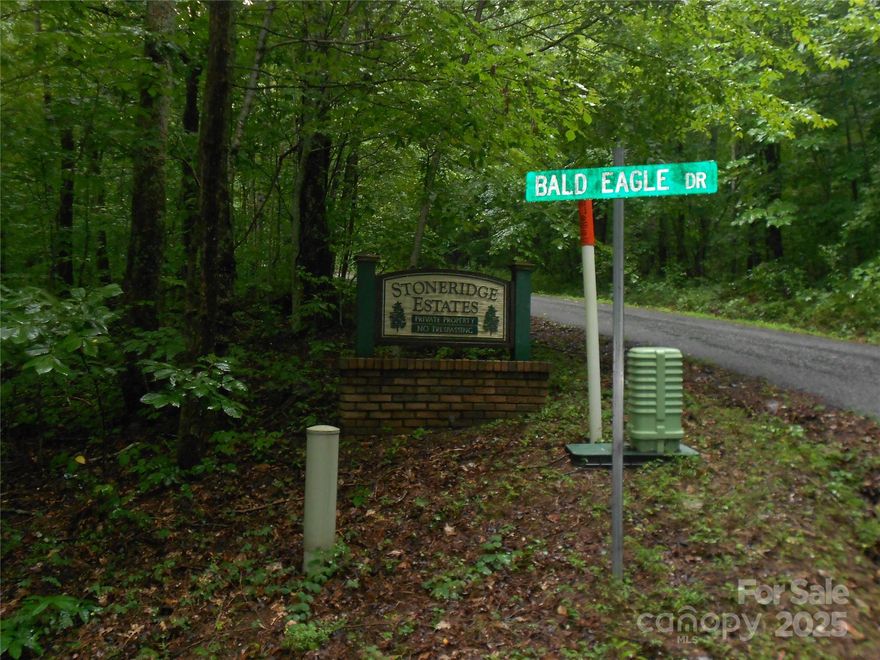 Welcome to Stoneridge Estates, a private mountain community near Bat Cave (Henderson County), NC, nestled among the Blue Ridge Mountains and just about 15 minutes from Lake Lure and Chimney Rock and 35 minutes from Asheville, Hendersonville and Black Mountain. This 1.6-acre wooded lot offers a blank canvas for your dream mountain escape. The community’s CCRs set a minimum home size (around 800?sf), preserving the picturesque craftsman, log cabin, ranch, and modern styles seen throughout the neighborhood. Stoneridge Estates features maintained gravel roads and a tranquil setting with long-range mountain views in every season. Whether you're planning a vacation retreat, year-round home, or investment property, this lot provides privacy, natural beauty, and easy access to outdoor recreation, hiking, water sports, vineyards, and more.
