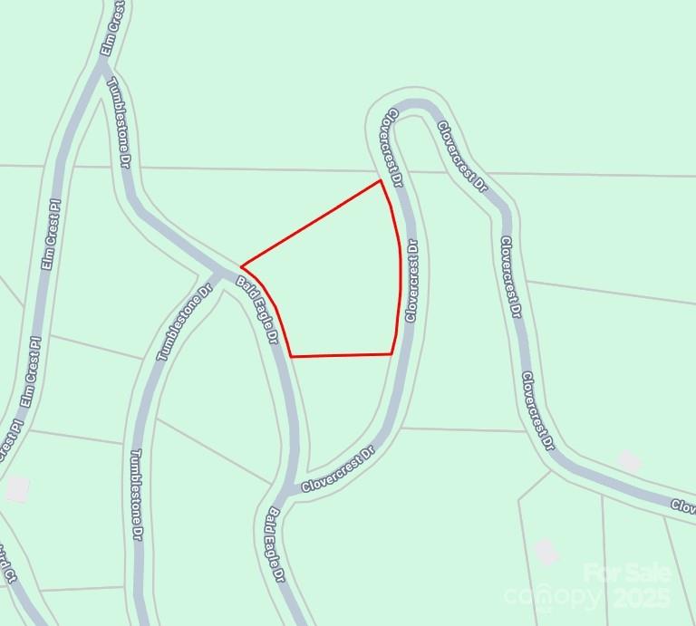 TBD Bald Eagle Drive