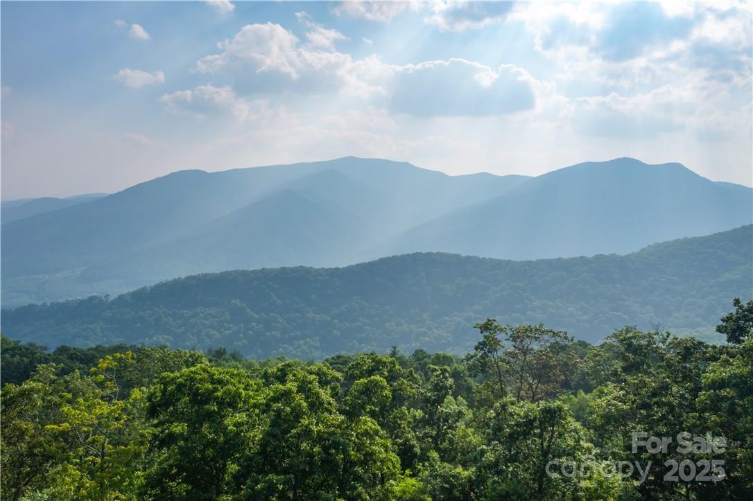 1260 Mountain Laurel Parkway Lot #8