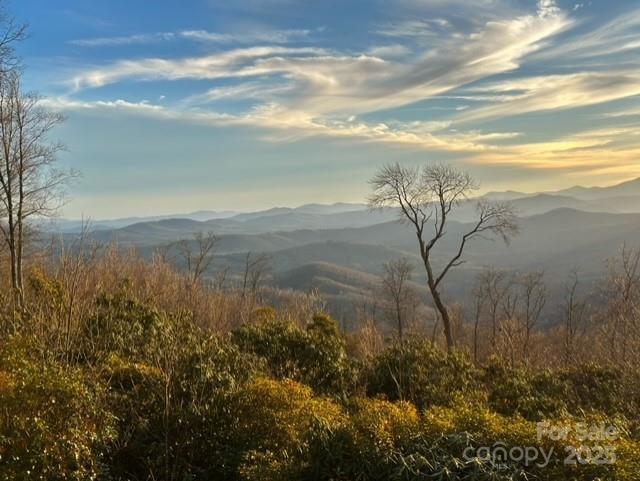 1260 Mountain Laurel Parkway Lot #8