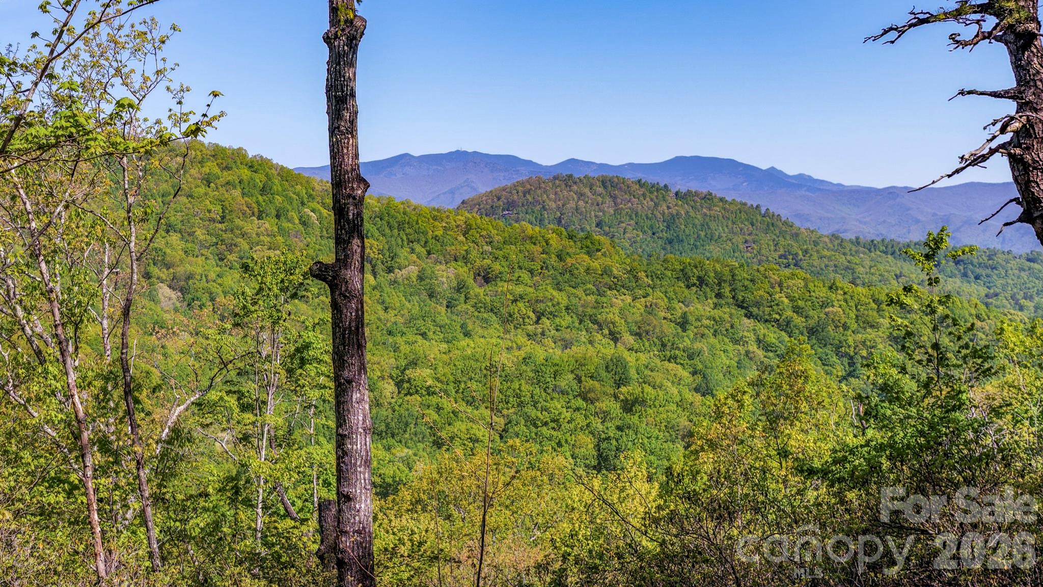 Laurel Mountain Preserve - Residential