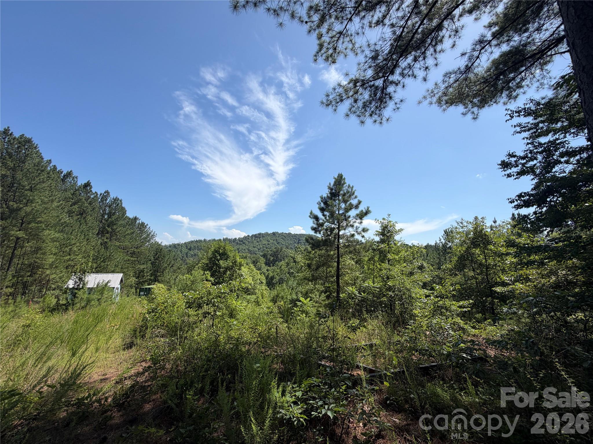 590 Gold Creek Point