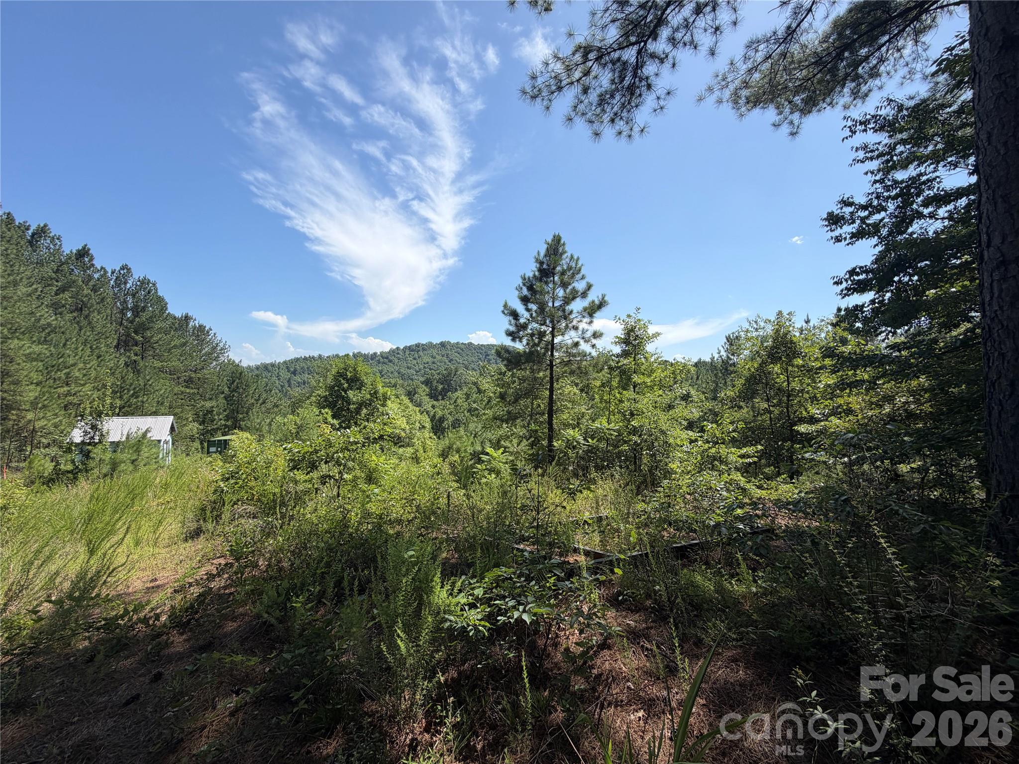 590 Gold Creek Point